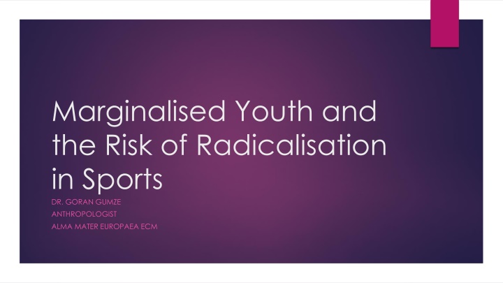 marginalised youth and the risk of radicalisation