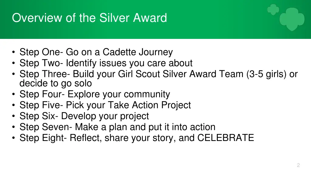 overview of the silver award