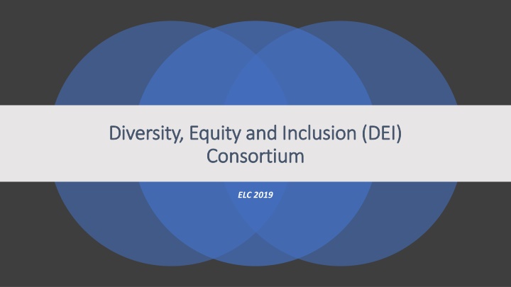 diversity equity and inclusion dei diversity