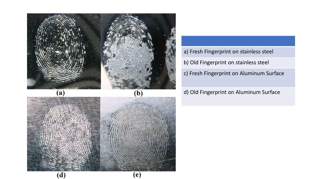 a fresh fingerprint on stainless steel