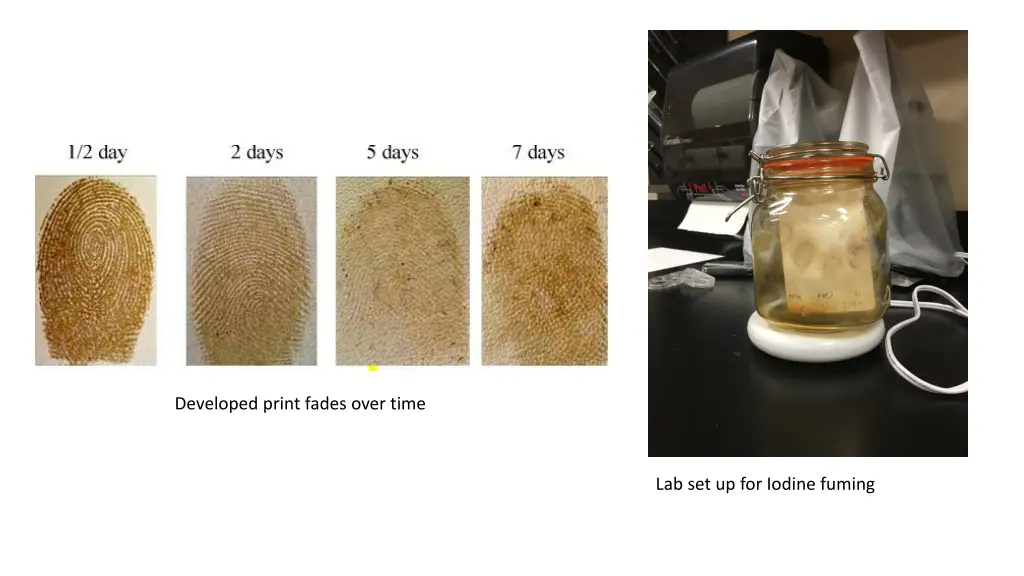 developed print fades over time