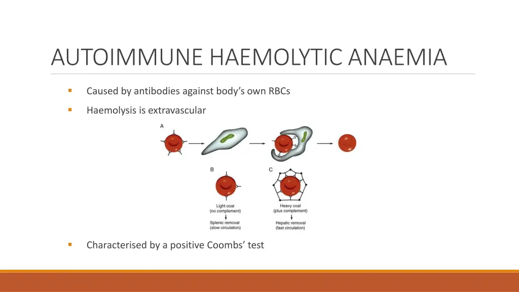 autoimmune haemolytic anaemia