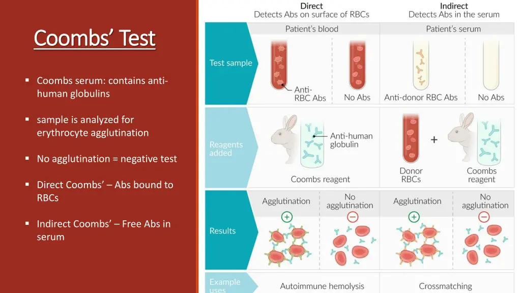 coombs test coombs test