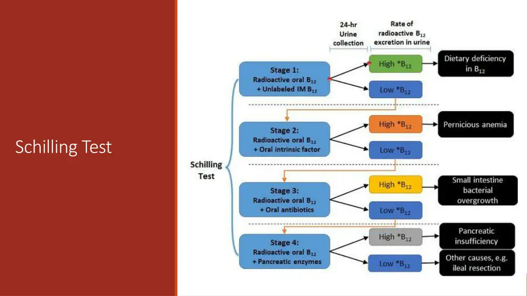 schilling test