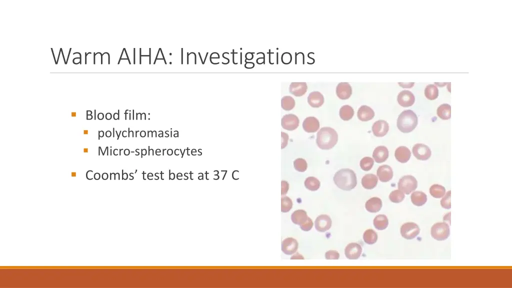 warm aiha investigations