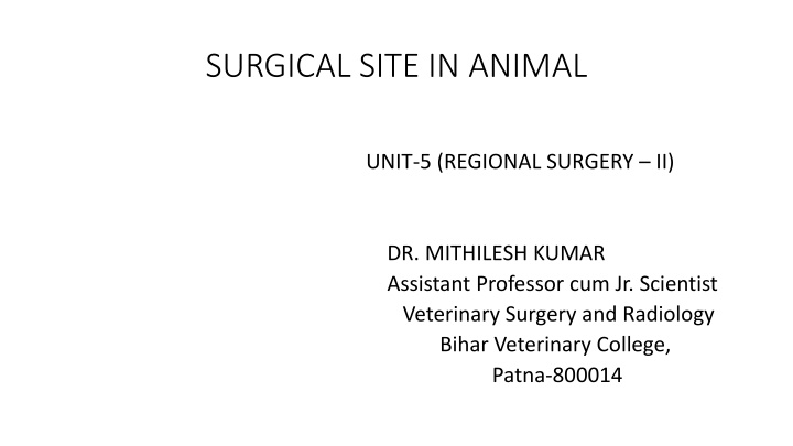 surgical site in animal