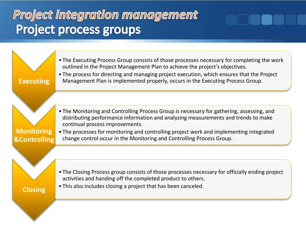 project integration management project process 2