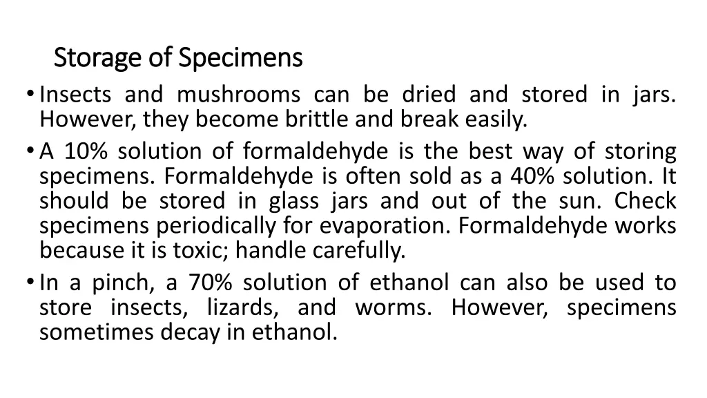 storage of specimens storage of specimens insects