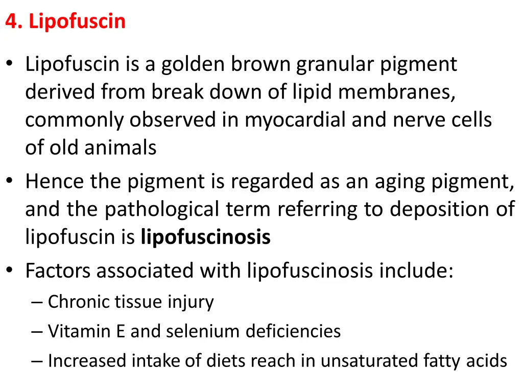 4 lipofuscin