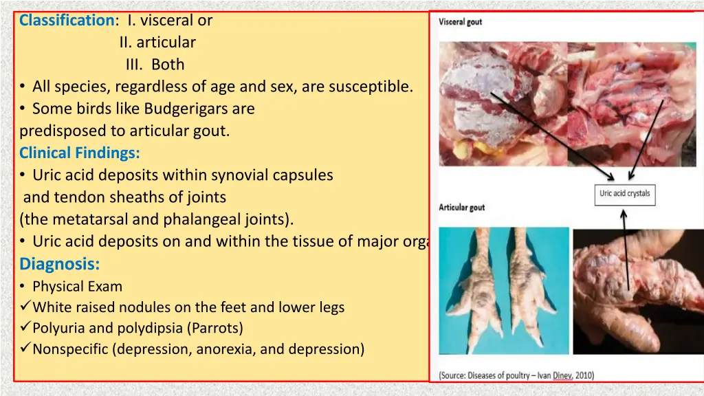 classification i visceral or ii articular