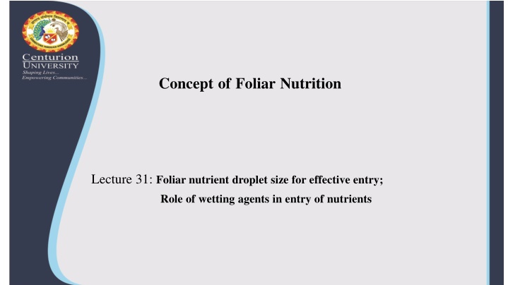 concept of foliar nutrition