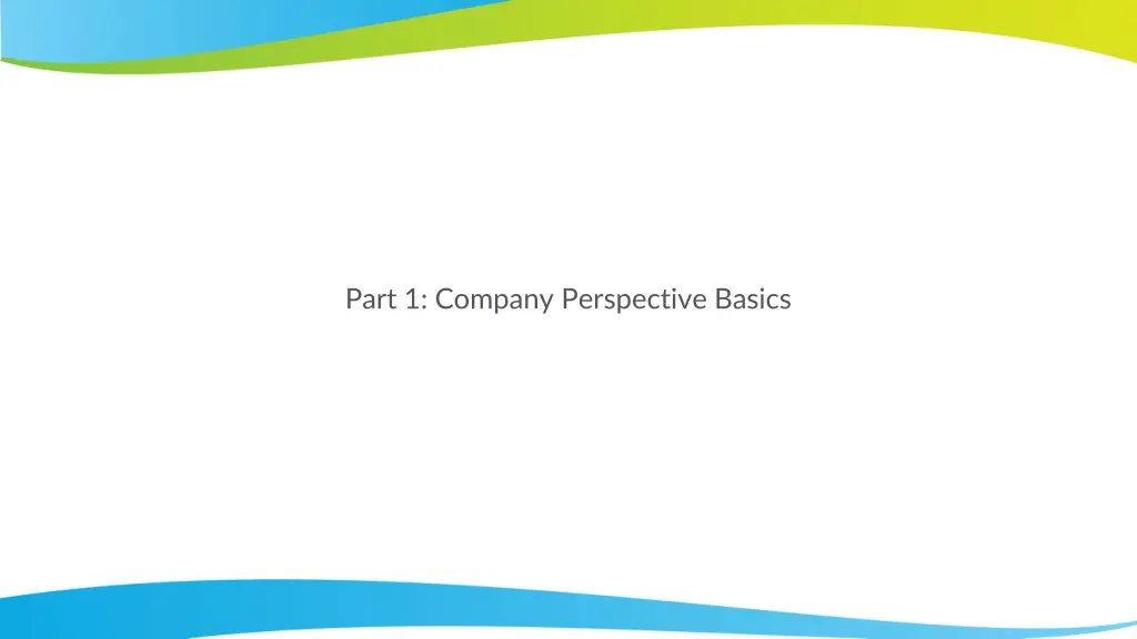 part 1 company perspective basics