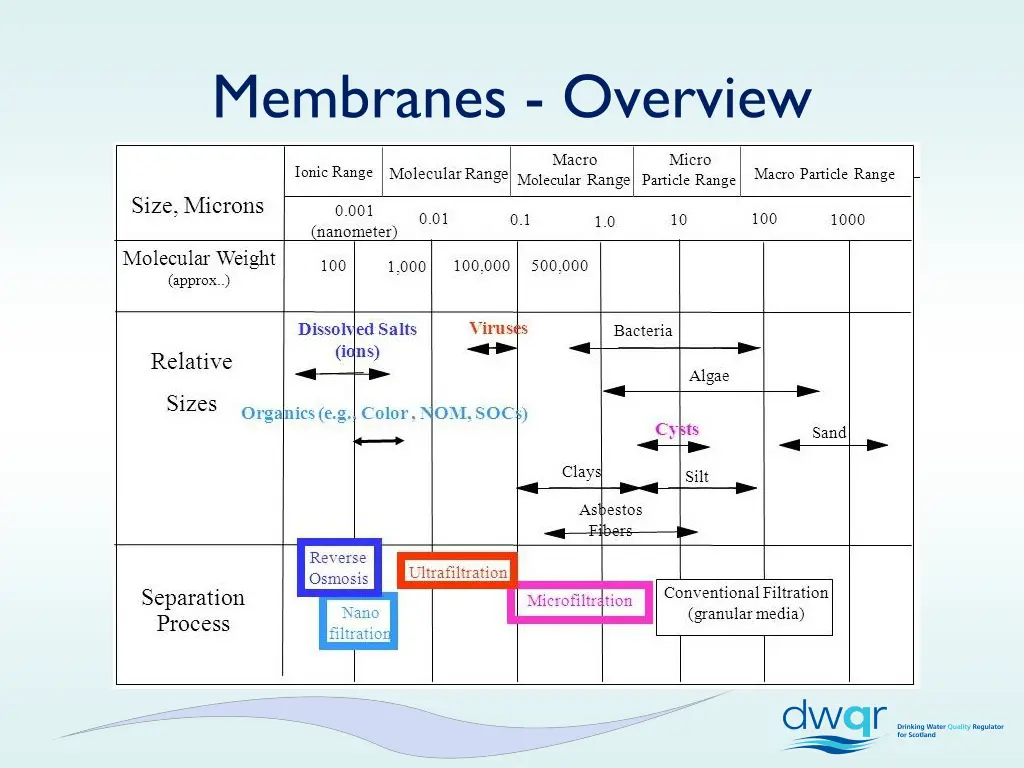 membranes overview 1