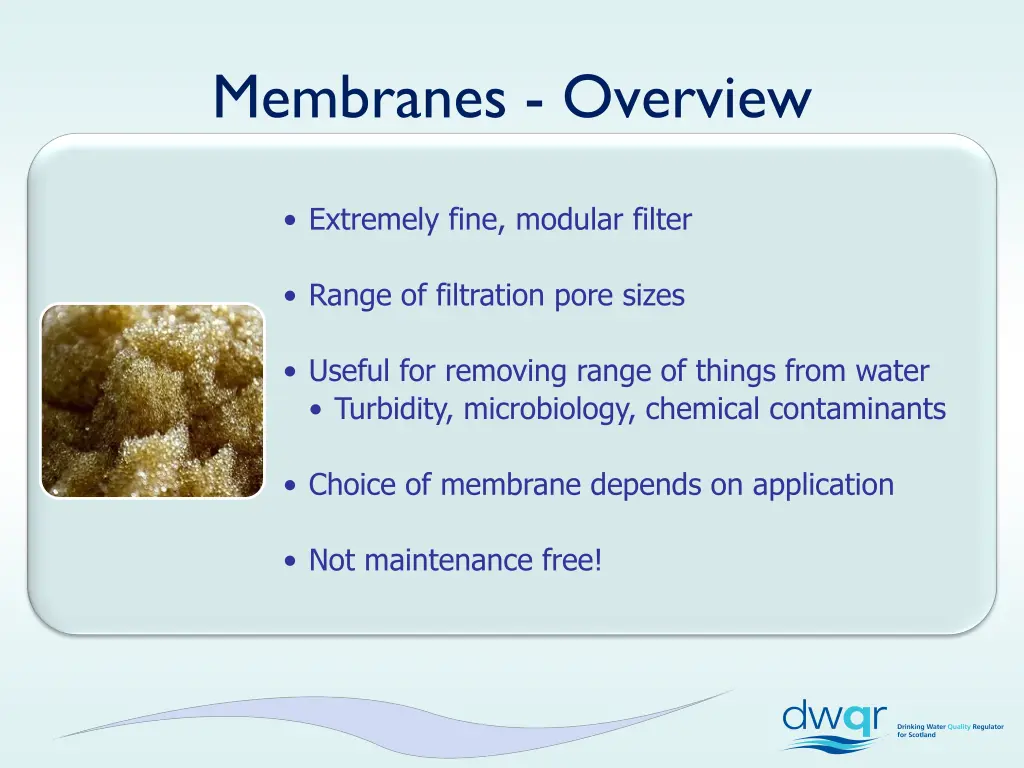 membranes overview