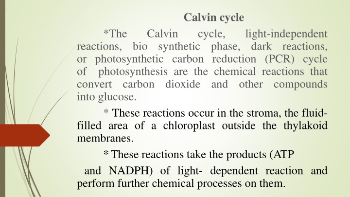 calvin cycle cycle synthetic