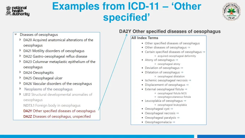 examples from icd 11 other specified