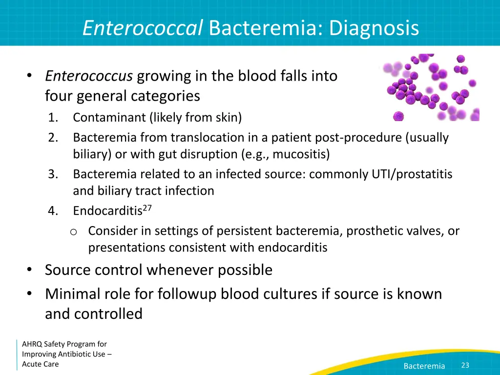 enterococcal bacteremia diagnosis 1