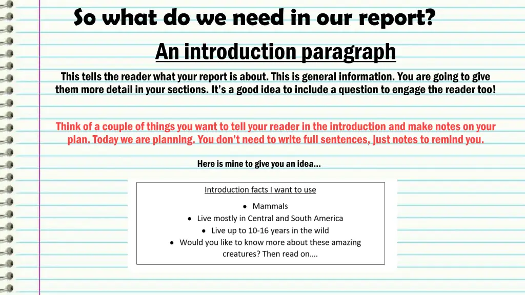 so what do we need in our report an introduction