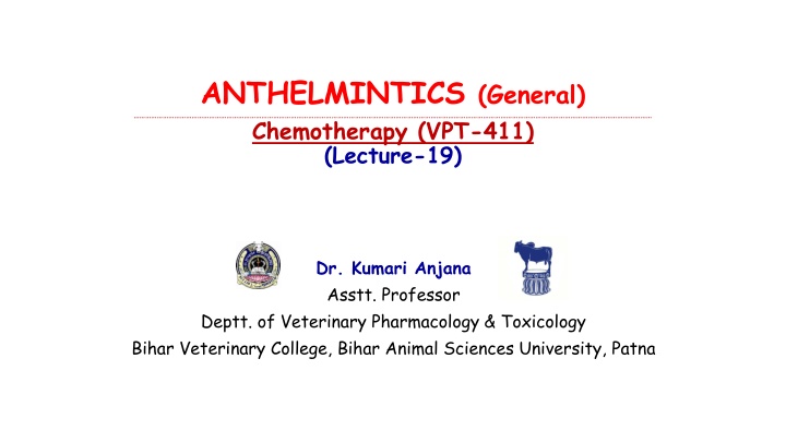 anthelmintics general chemotherapy