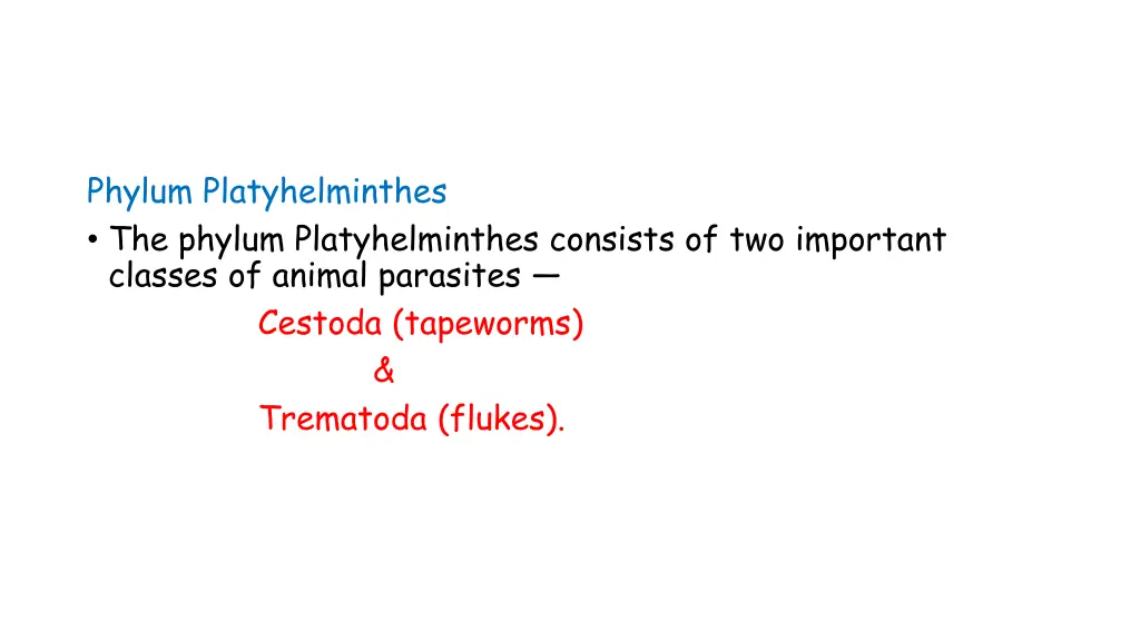 phylum platyhelminthes the phylum platyhelminthes