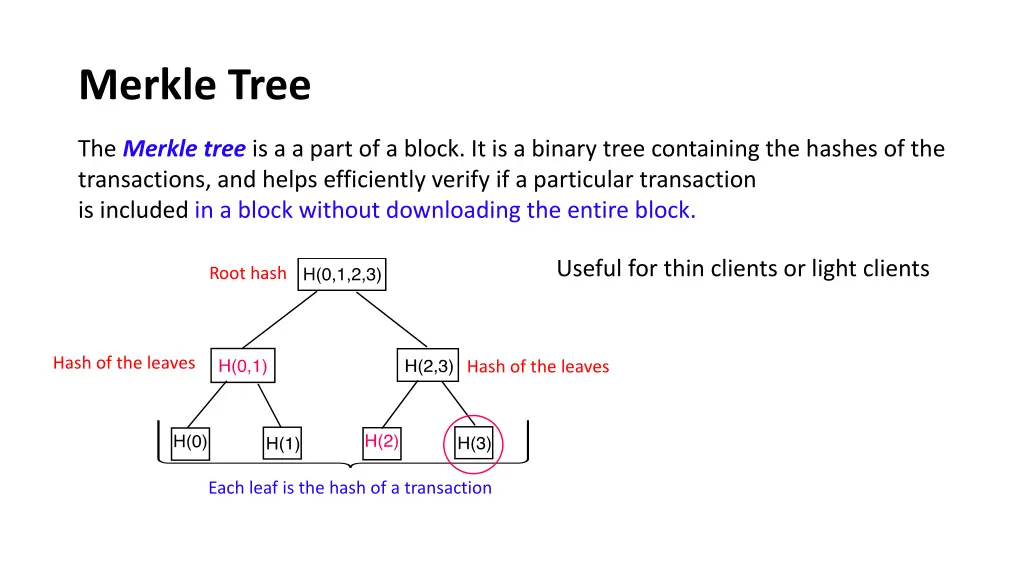 merkle tree