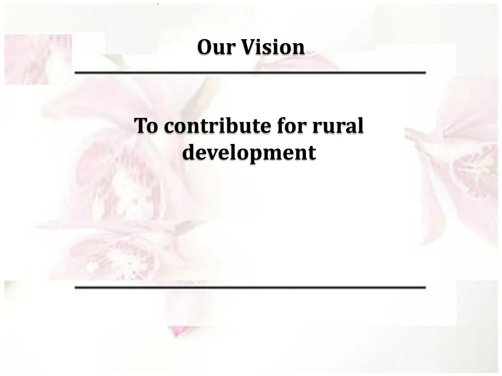 our vision