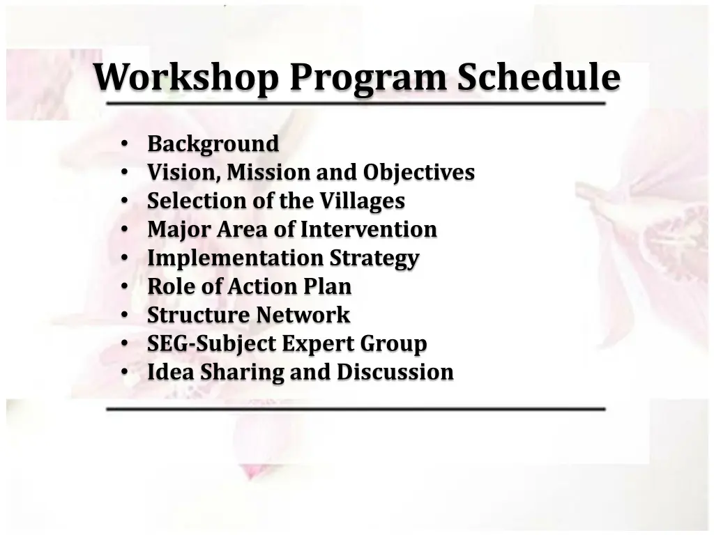 workshop program schedule