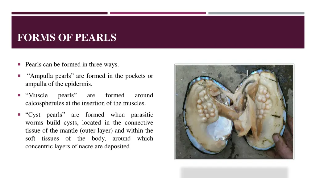 forms of pearls