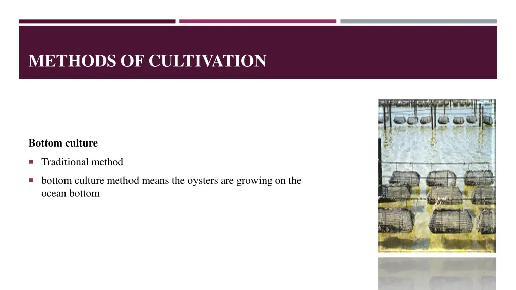 methods of cultivation