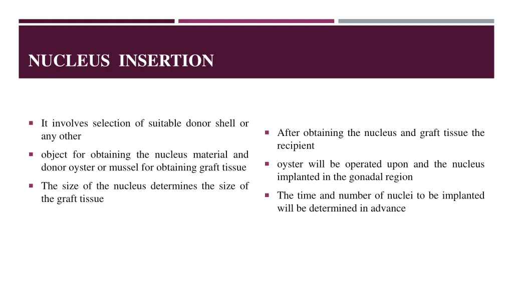 nucleus insertion