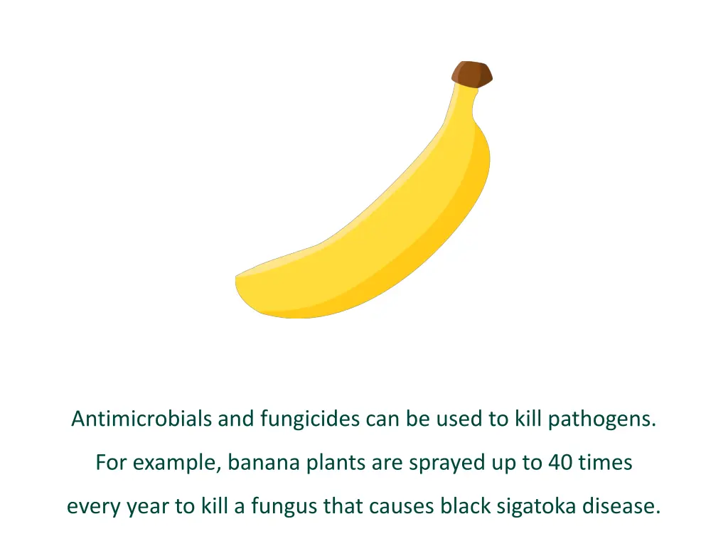 antimicrobials and fungicides can be used to kill