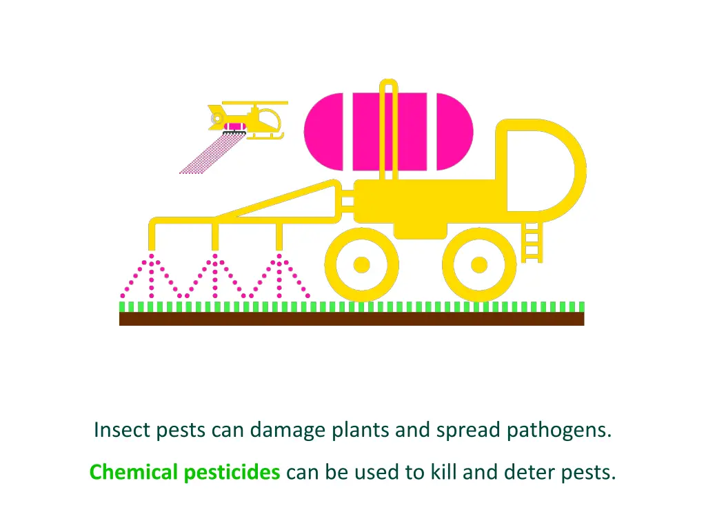 insect pests can damage plants and spread