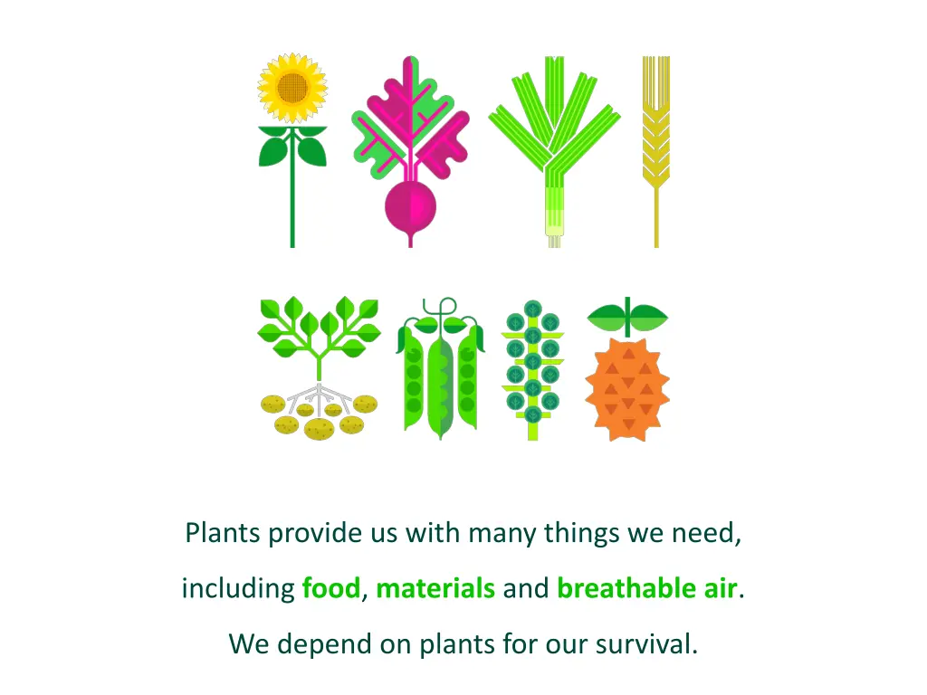 plants provide us with many things we need