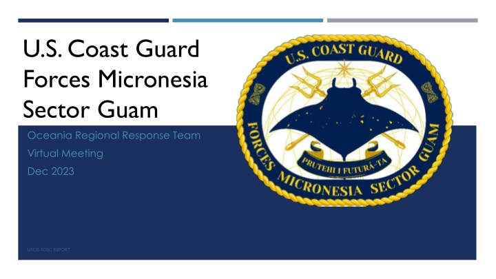 u s coast guard forces micronesia sector guam