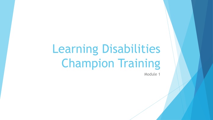 learning disabilities champion training