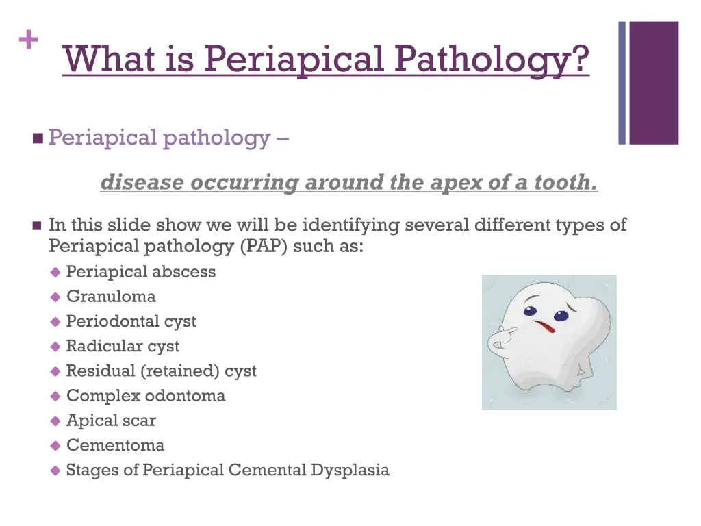 what is periapical pathology