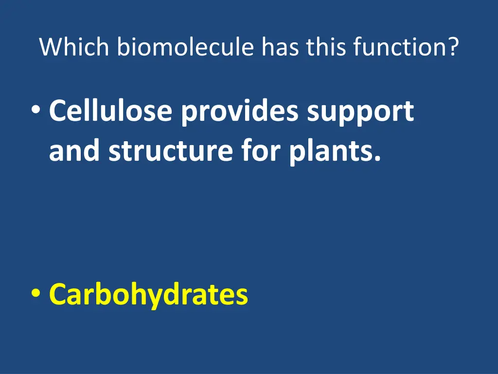 which biomolecule has this function 1