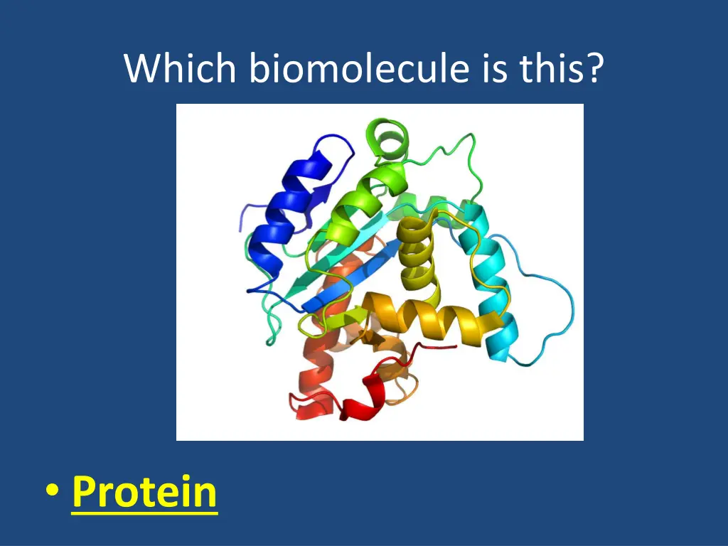 which biomolecule is this 1