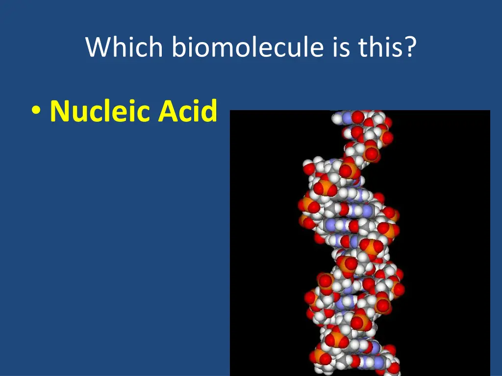 which biomolecule is this 10