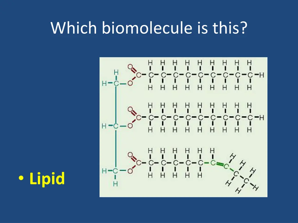 which biomolecule is this 13