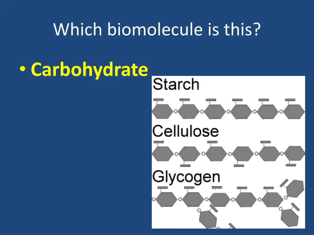 which biomolecule is this 14