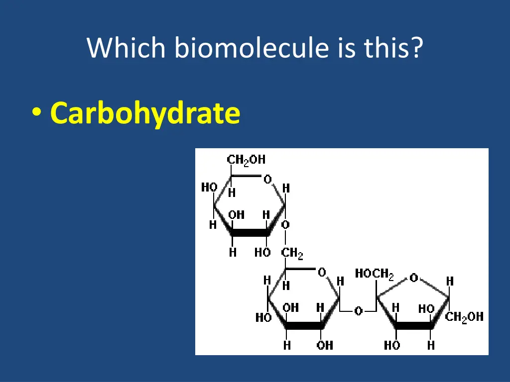 which biomolecule is this 18