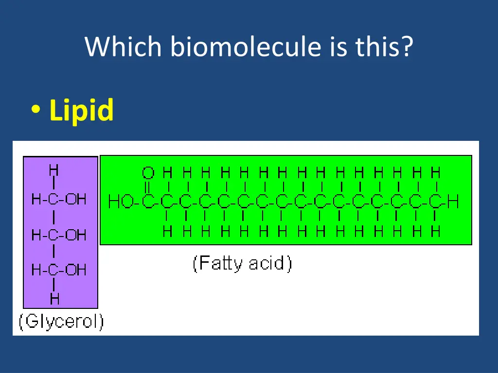 which biomolecule is this 2