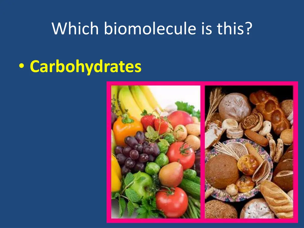 which biomolecule is this 20