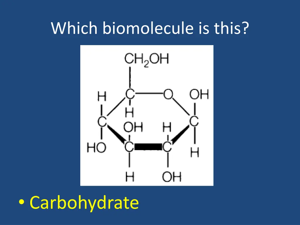 which biomolecule is this 3