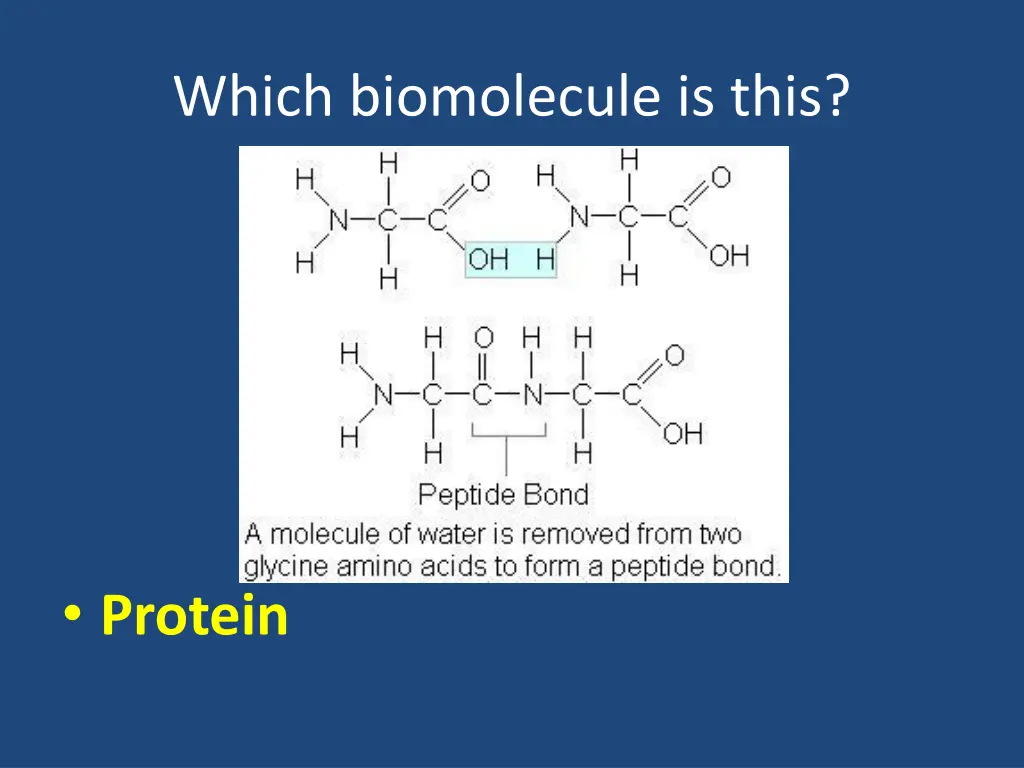 which biomolecule is this 4