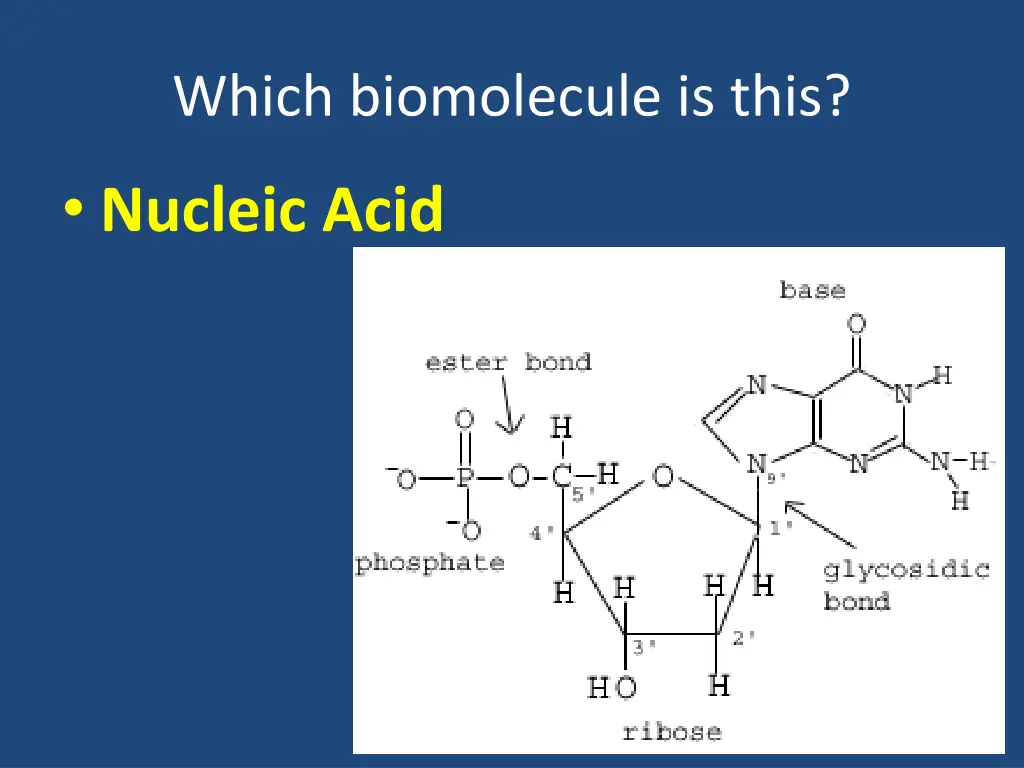 which biomolecule is this 5