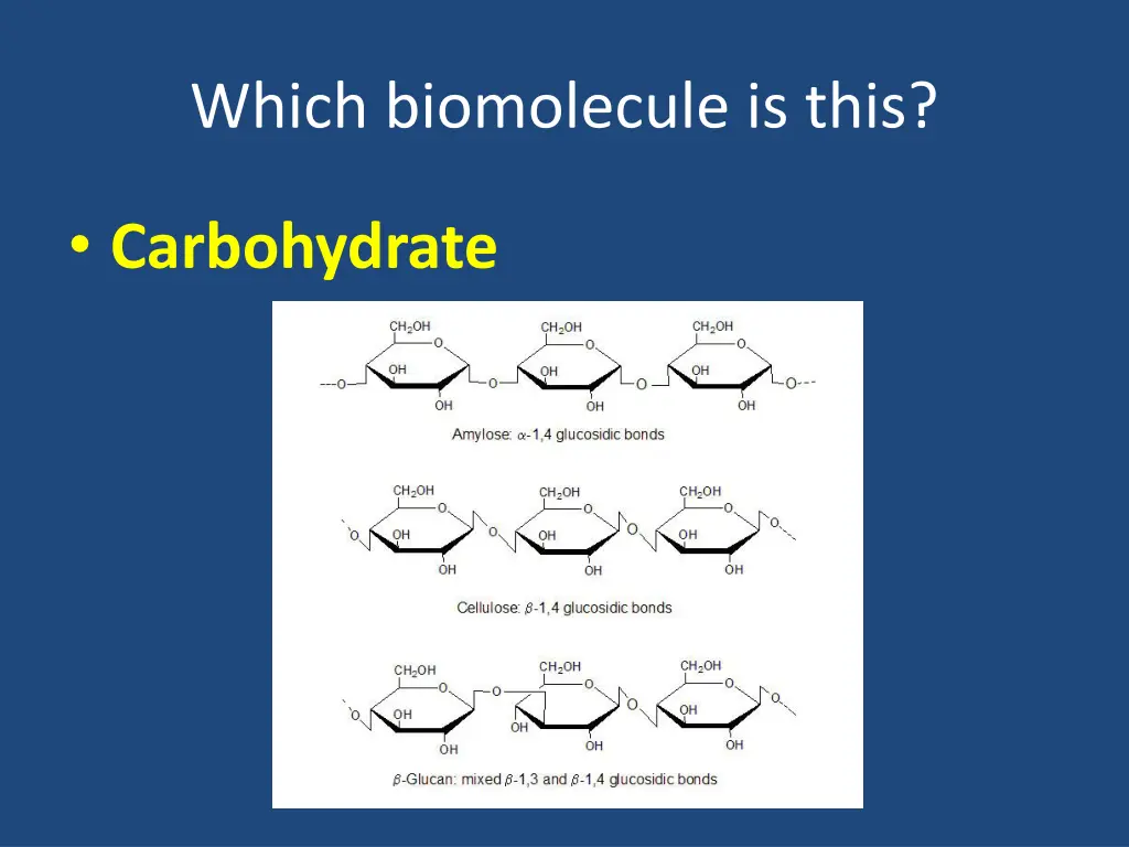 which biomolecule is this 6