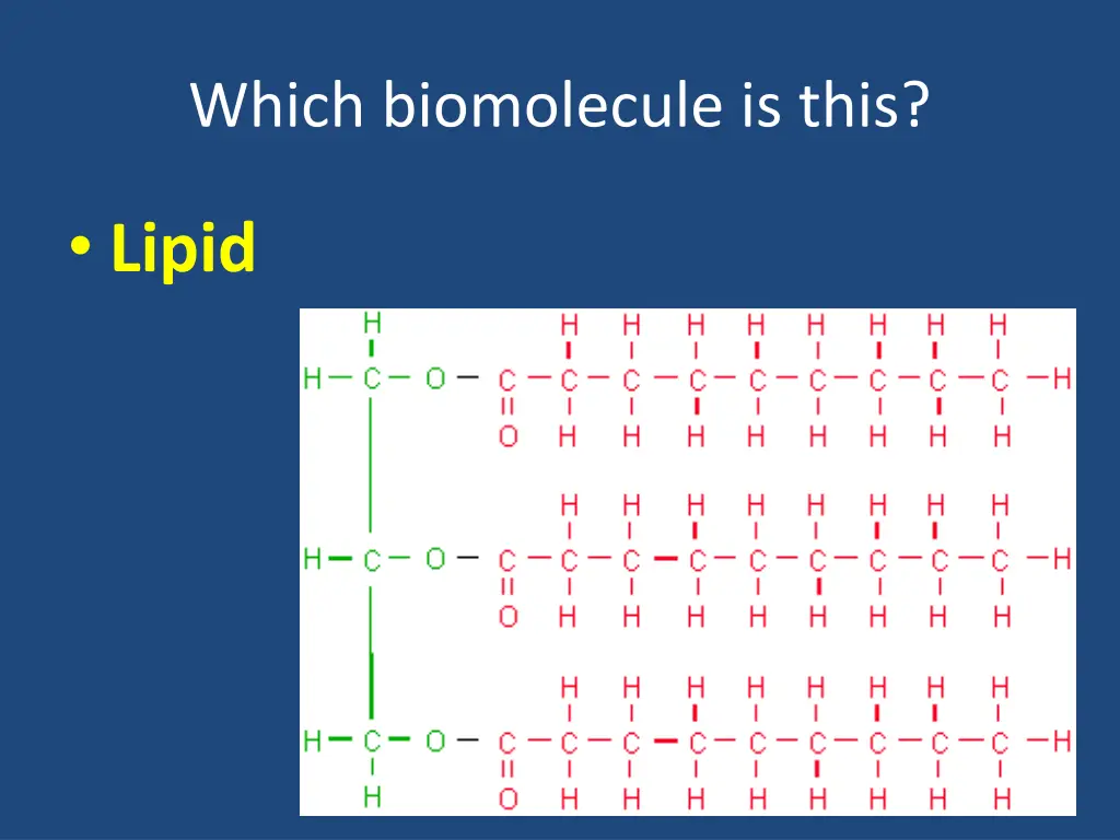 which biomolecule is this 7