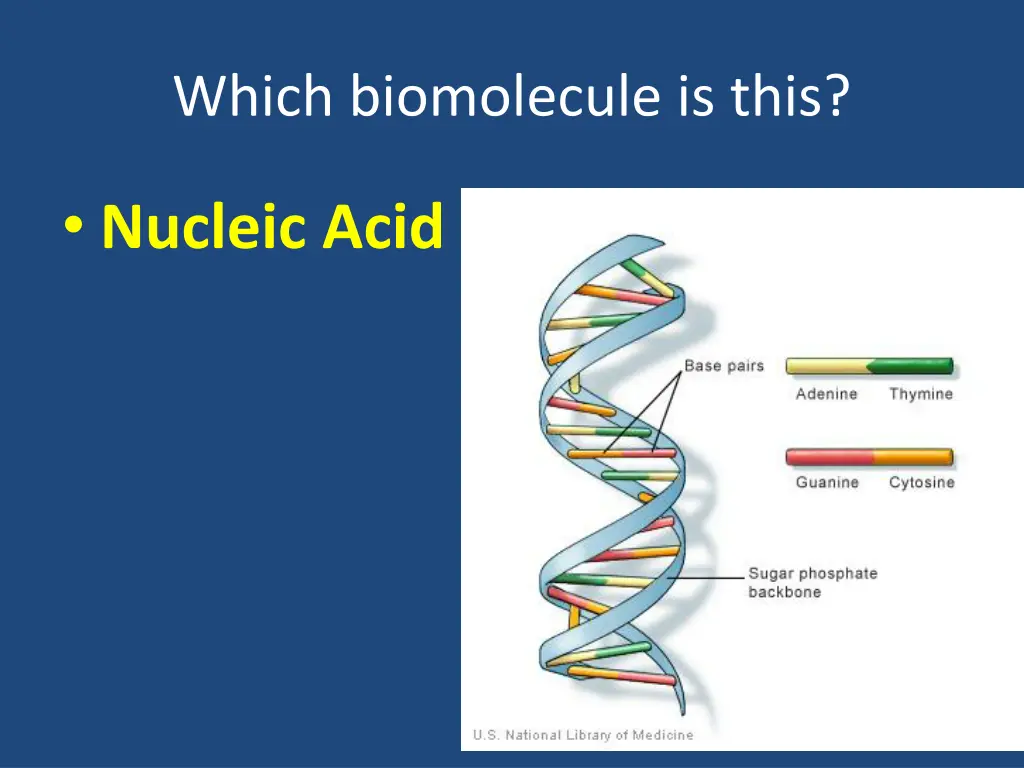 which biomolecule is this 8